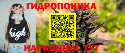 ГАЛЛЮЦИНОГЕННЫЕ ГРИБЫ Гатчина