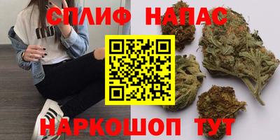 гидропоника Гусев